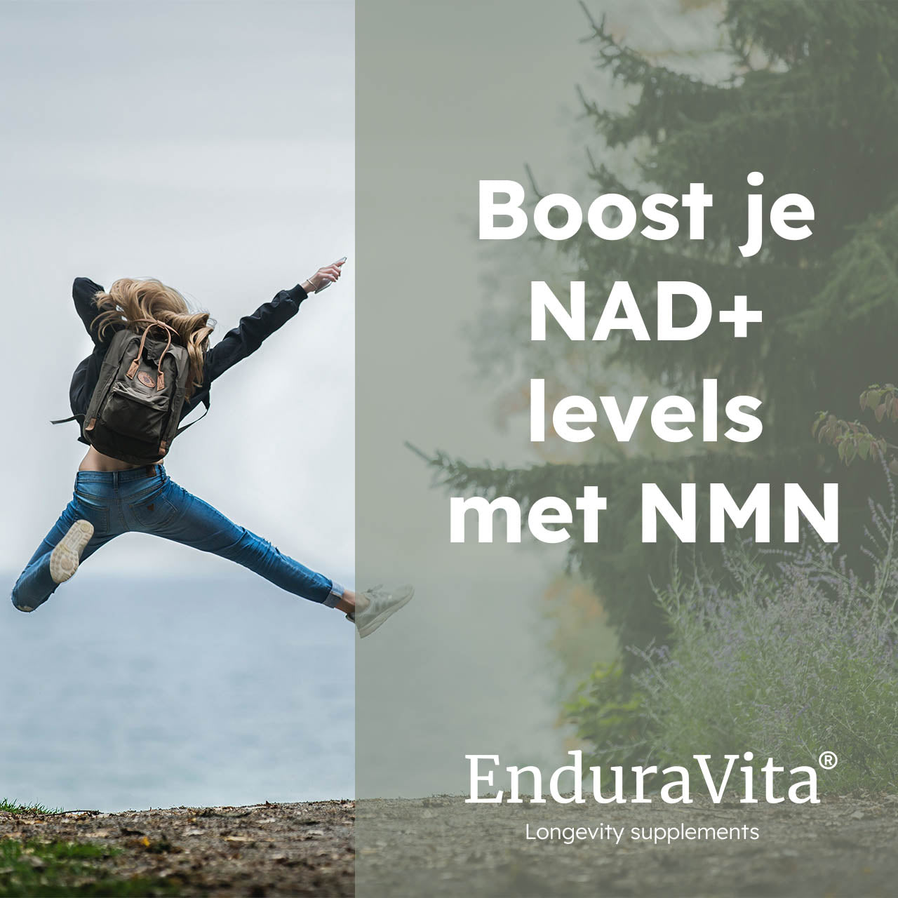 Voordeelbundel NMN Capsules 120x250mg