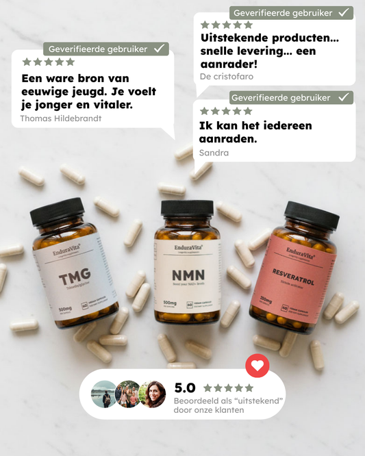 Langlebigkeits-Bundel