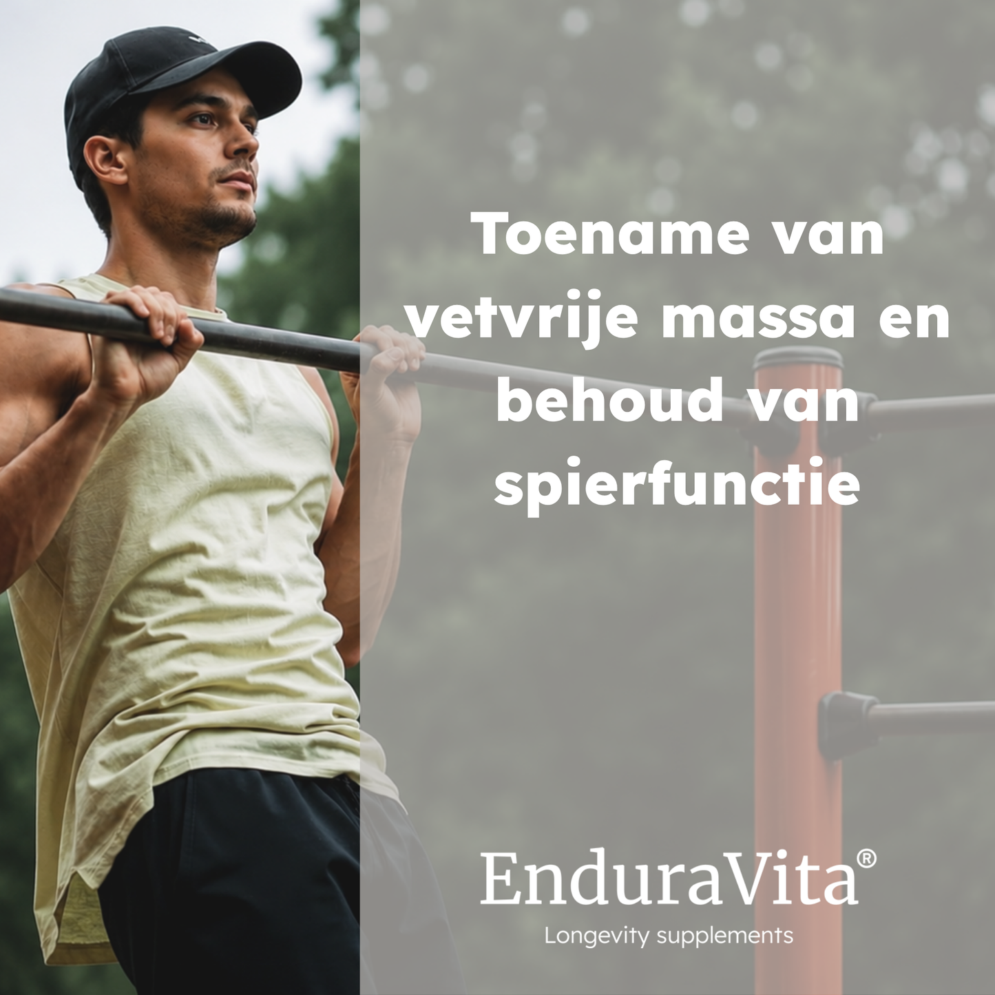 Creatine pure powder