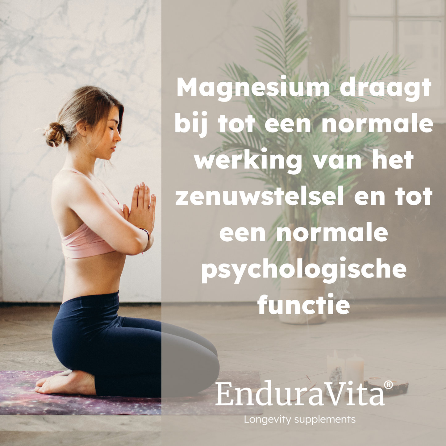 Magnesium-L-Threonat Nahrungsergänzungsmittel 90x667mg - Kapseln