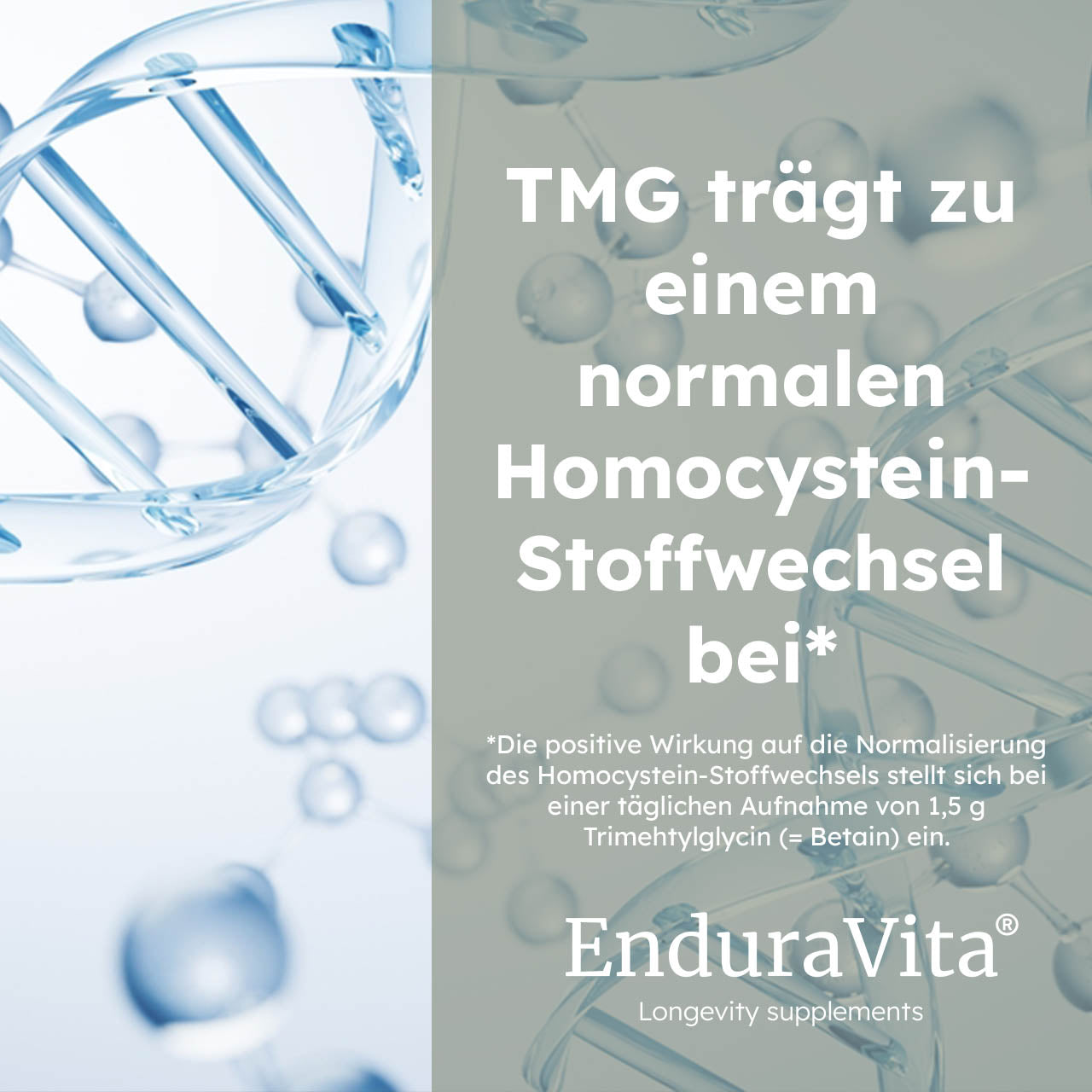 TMG-Kapseln 500mg - 60 Kapseln